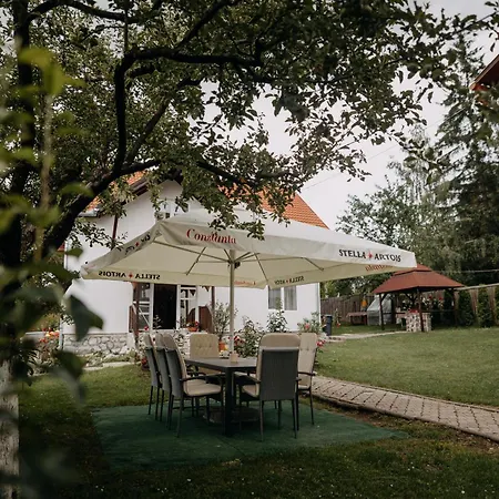 Kaffai Panzio Bed & Breakfast Izvoru Muresului
